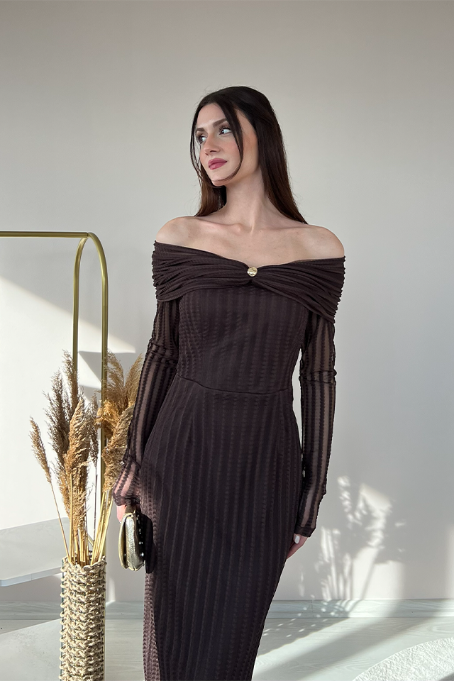 Kadın Kayık Yaka Pileli Uzun Elbise – Transparan Kollu, Şık ve Davetlik Tasarım